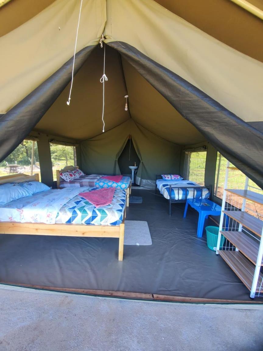 Oloirien Tented Camp Mara Simba المظهر الخارجي الصورة