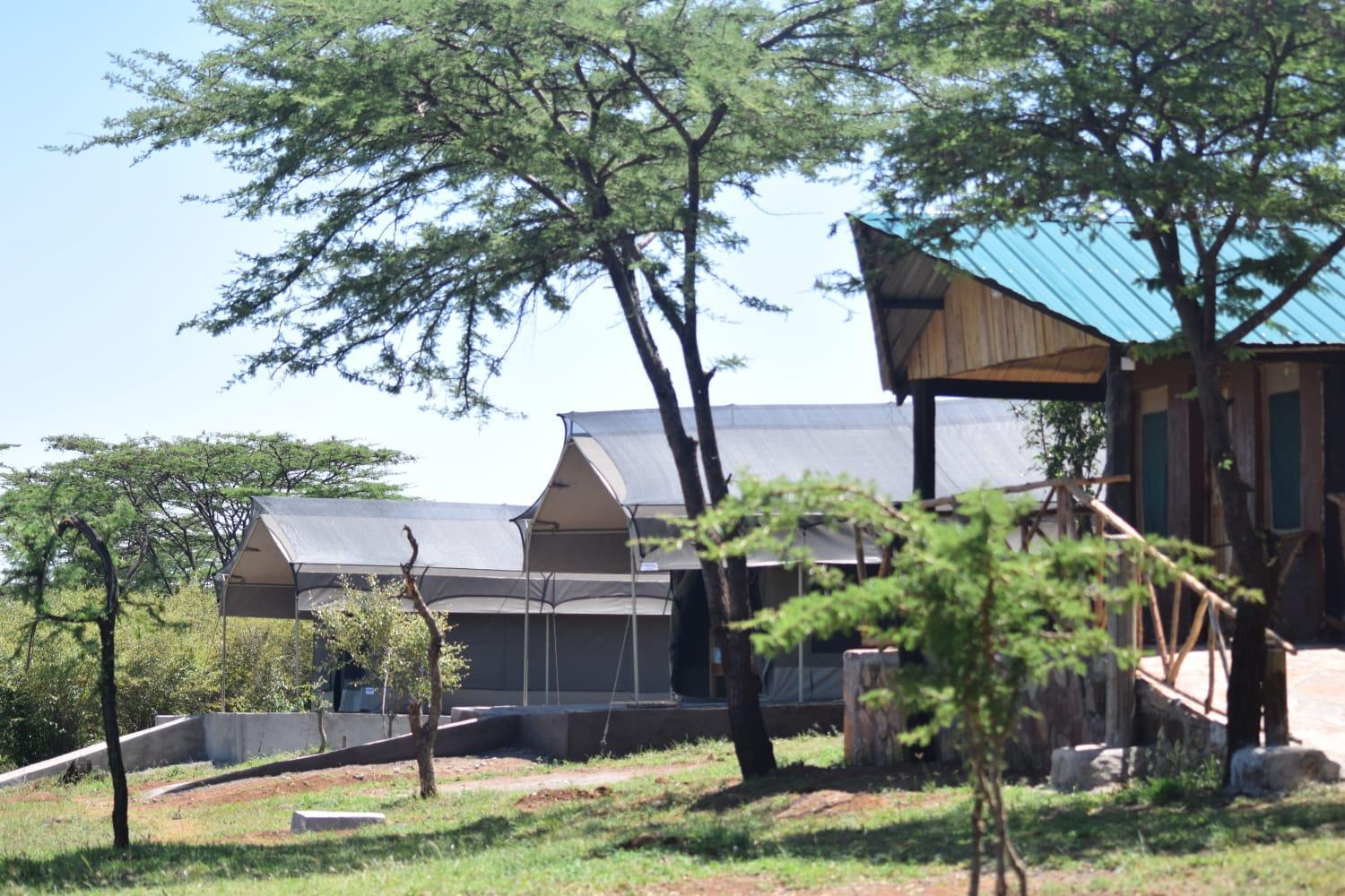 Oloirien Tented Camp Mara Simba المظهر الخارجي الصورة